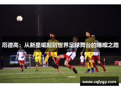 厄德高：从新星崛起到世界足球舞台的璀璨之路